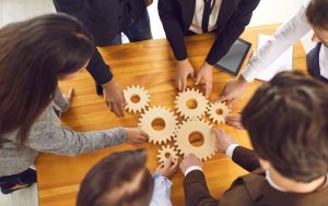 insertion professionnelle
